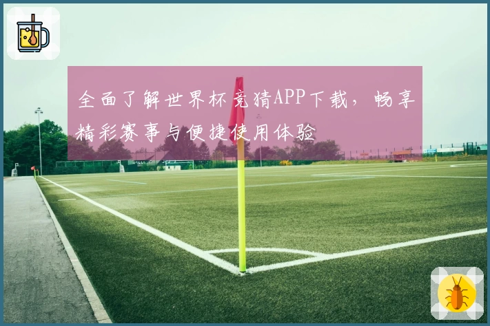 全面了解世界杯竞猜APP下载,畅享精彩赛事与便捷使用体验