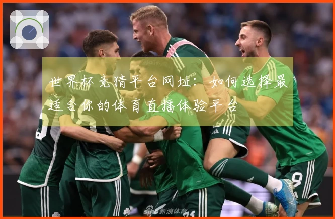 世界杯竞猜平台网址：如何选择最适合你的体育直播体验平台