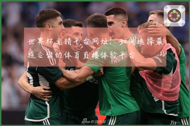 世界杯竞猜平台网址:如何选择最适合你的体育直播体验平台