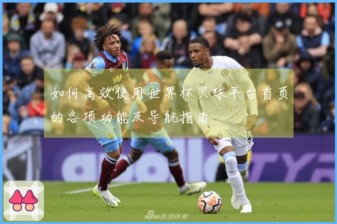 如何高效使用世界杯买球平台首页的各项功能及导航指南