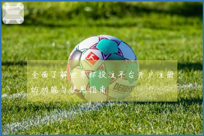 全面了解世界杯投注平台开户注册的功能与使用指南
