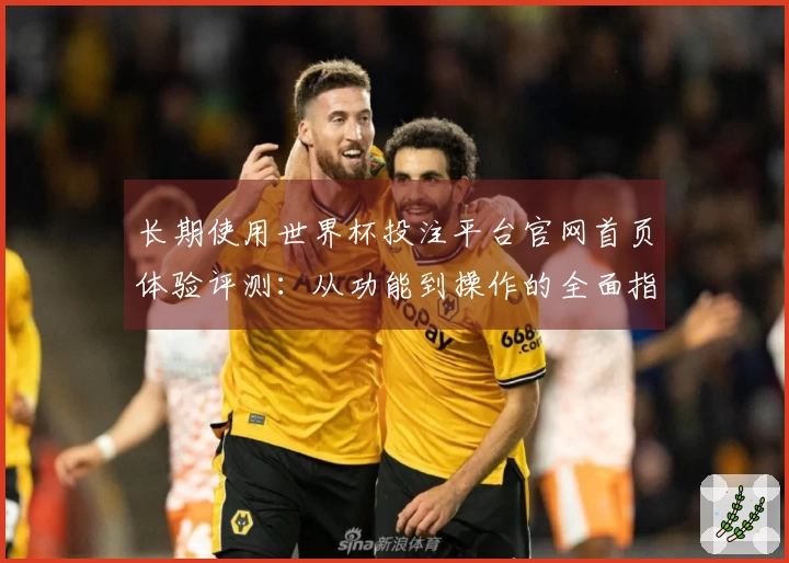 长期使用世界杯投注平台官网首页体验评测：从功能到操作的全面指南