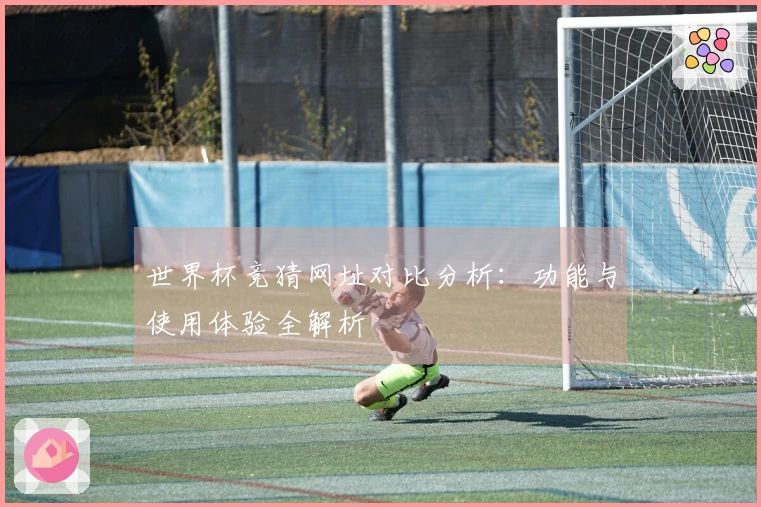 世界杯竞猜网址对比分析：功能与使用体验全解析