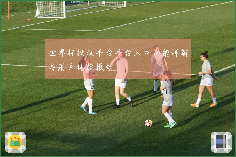 世界杯投注平台平台入口功能详解与用户体验报告